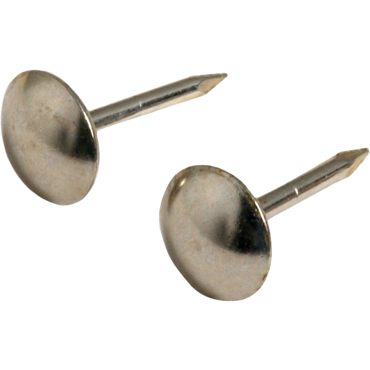 Two nickel-plated round head furniture nails suitable for upholstery and decorative fasteners in hardware collections
