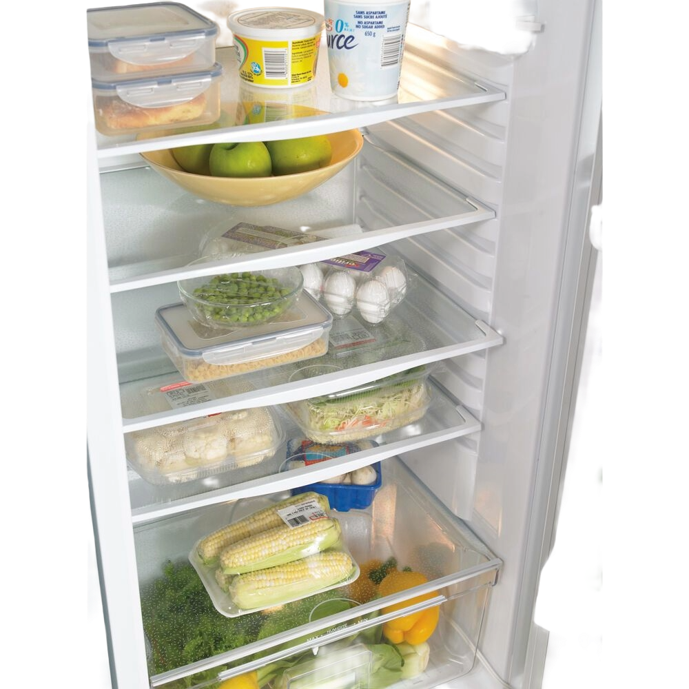 11 CuFt. All Refrigerator,Interior Light,Worktop,Crisper
