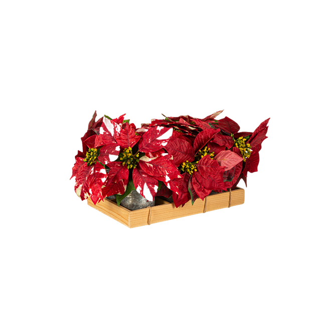 Red poinsettia floral arrangement in a natural wooden crate for seasonal home decoration use