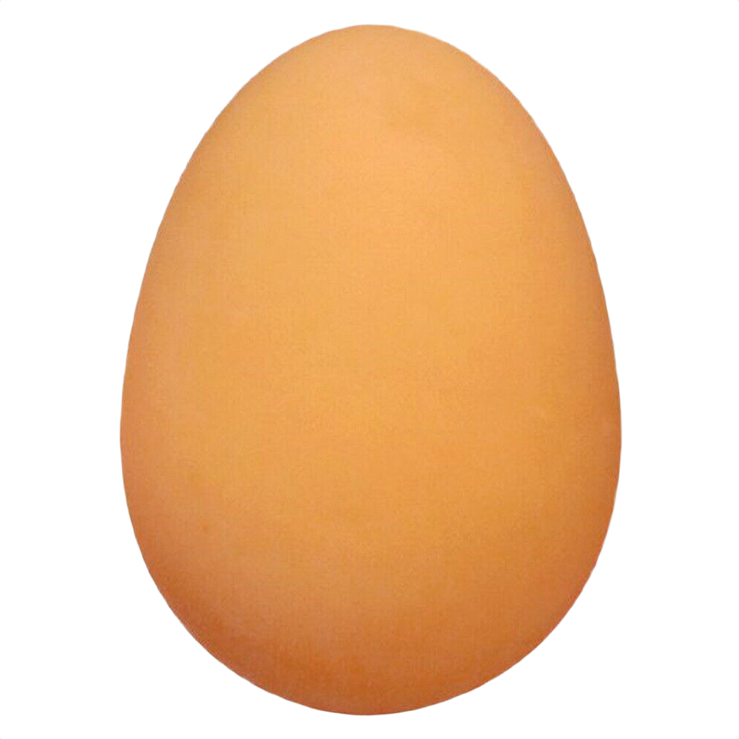 Smooth light brown egg-shaped object with a matte finish against a transparent background