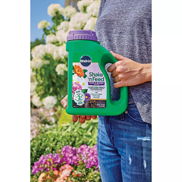 Green Miracle-Gro Shake 'n Feed plant food container with purple lid held outdoors in a garden setting for plant care collections