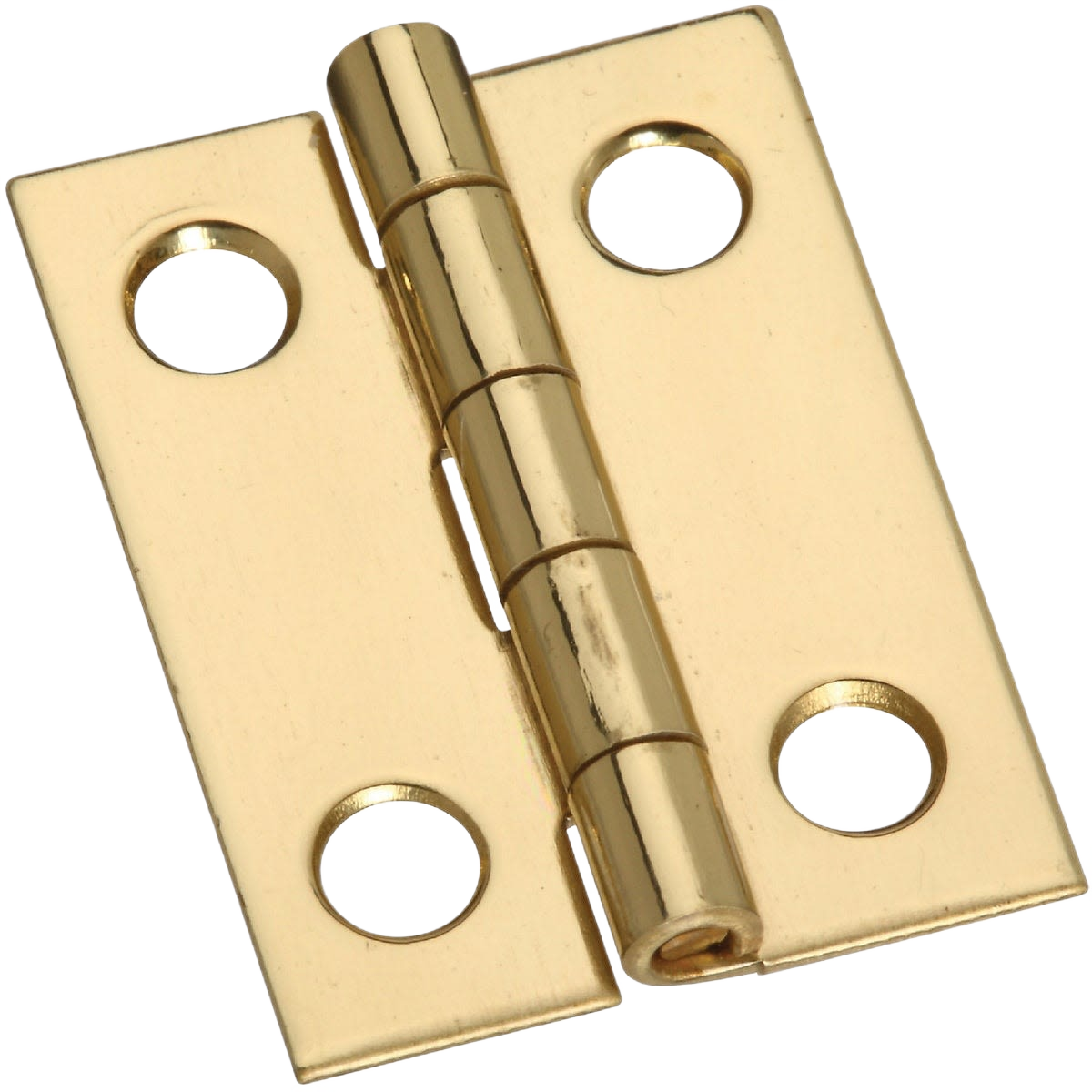 Narrow brass decorative hinge with smooth finish and four screw holes for home improvement projects