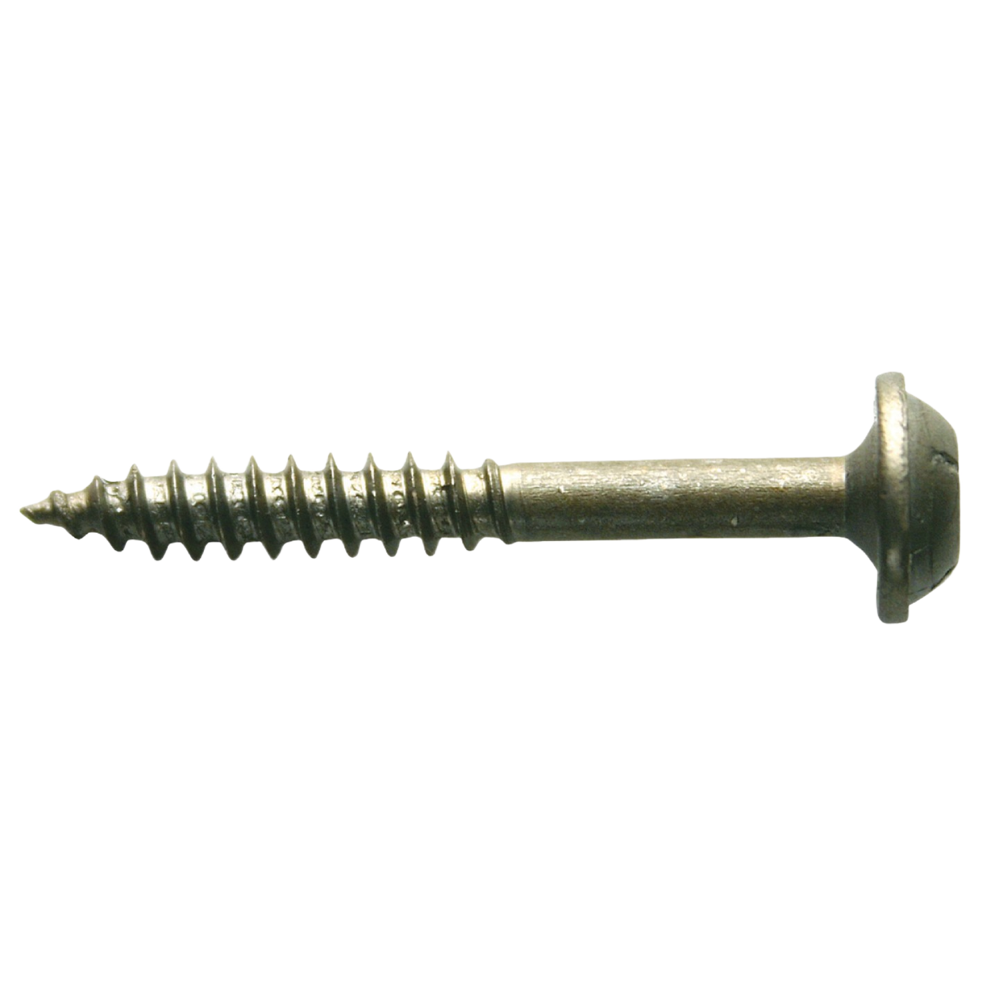 White zinc-coated fine thread screw for woodworking projects, part of woodworking tool accessories under $50 collection