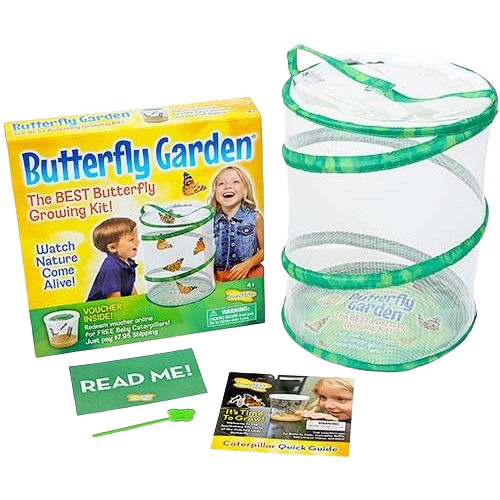 Butterfly garden kit with collapsible mesh habitat, guidebook, and voucher for Toys & Games under $50 collections