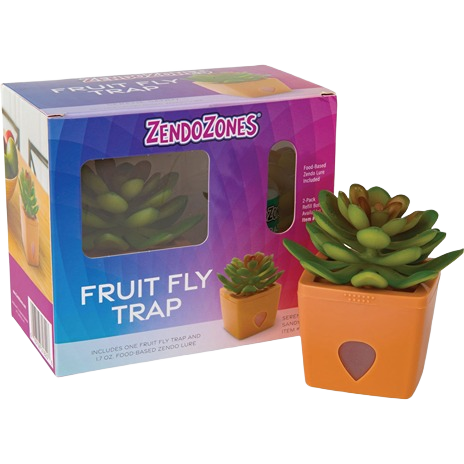 Succulent-style fruit fly trap with food-based lure in an orange container for indoor insect and pest control collections.