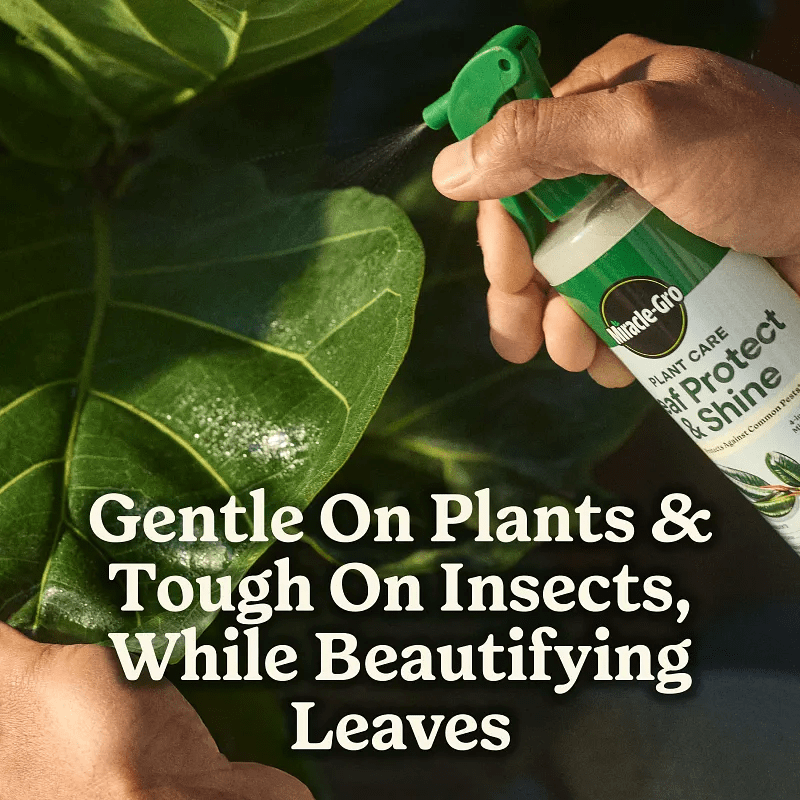 Miracle-Gro 8 Oz. Leaf Protect and Shine