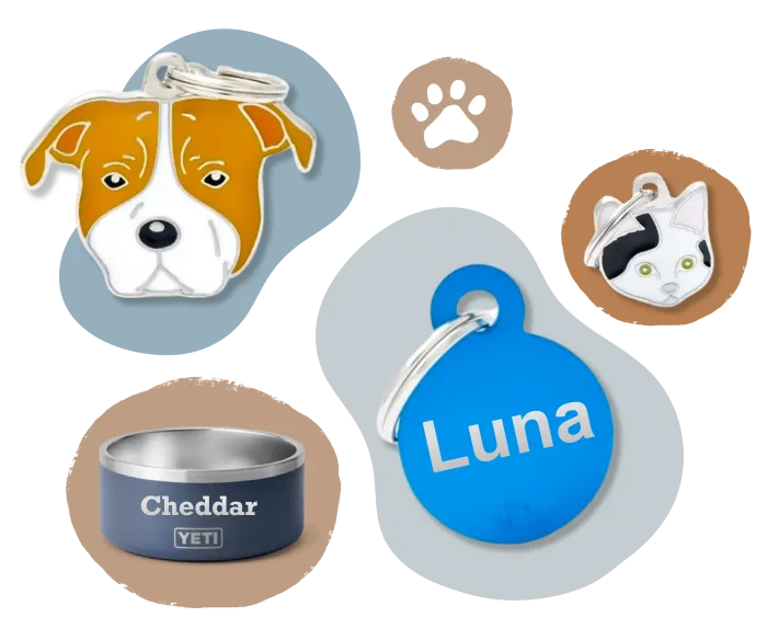 Two colorful pet-themed keychains featuring a brown and white dog and a black-and-white cat's face, a blue circular pet tag labeled 