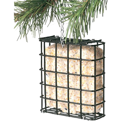 Black metal suet feeder cage hanging from pine branch with high energy treat block inside for wild birds