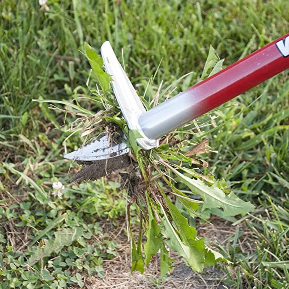 Red-handled step and twist weed popper pulling dandelion with roots from soil for garden and home improvement tasks
