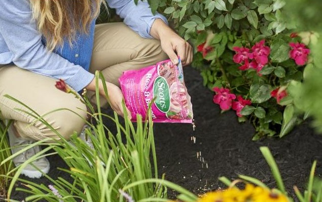 Person applying pink bag of continuous feed plant food to flowering plants in a garden setting