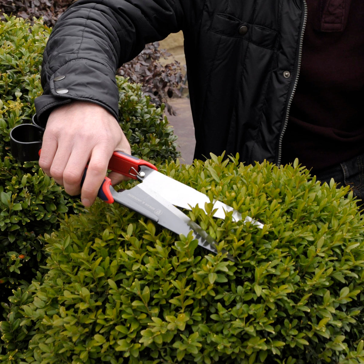 Spear & Jackson Razorsharp Advantage Topiary Shears