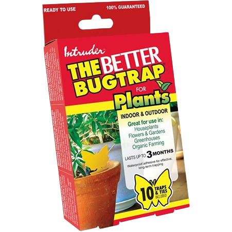 plant traps for indoor stairs Intruder The Better Bugtrap for Plants