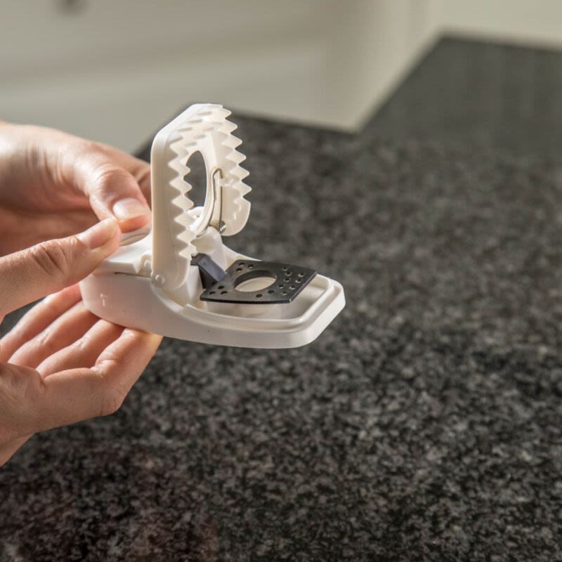 Hand holding a white plastic mouse trap with press-to-set design on dark kitchen countertop surface