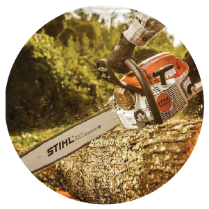 Close-up of a person wearing gloves operating an orange and white chainsaw cutting through a thick tree trunk outdoors, surrounded by greenery.